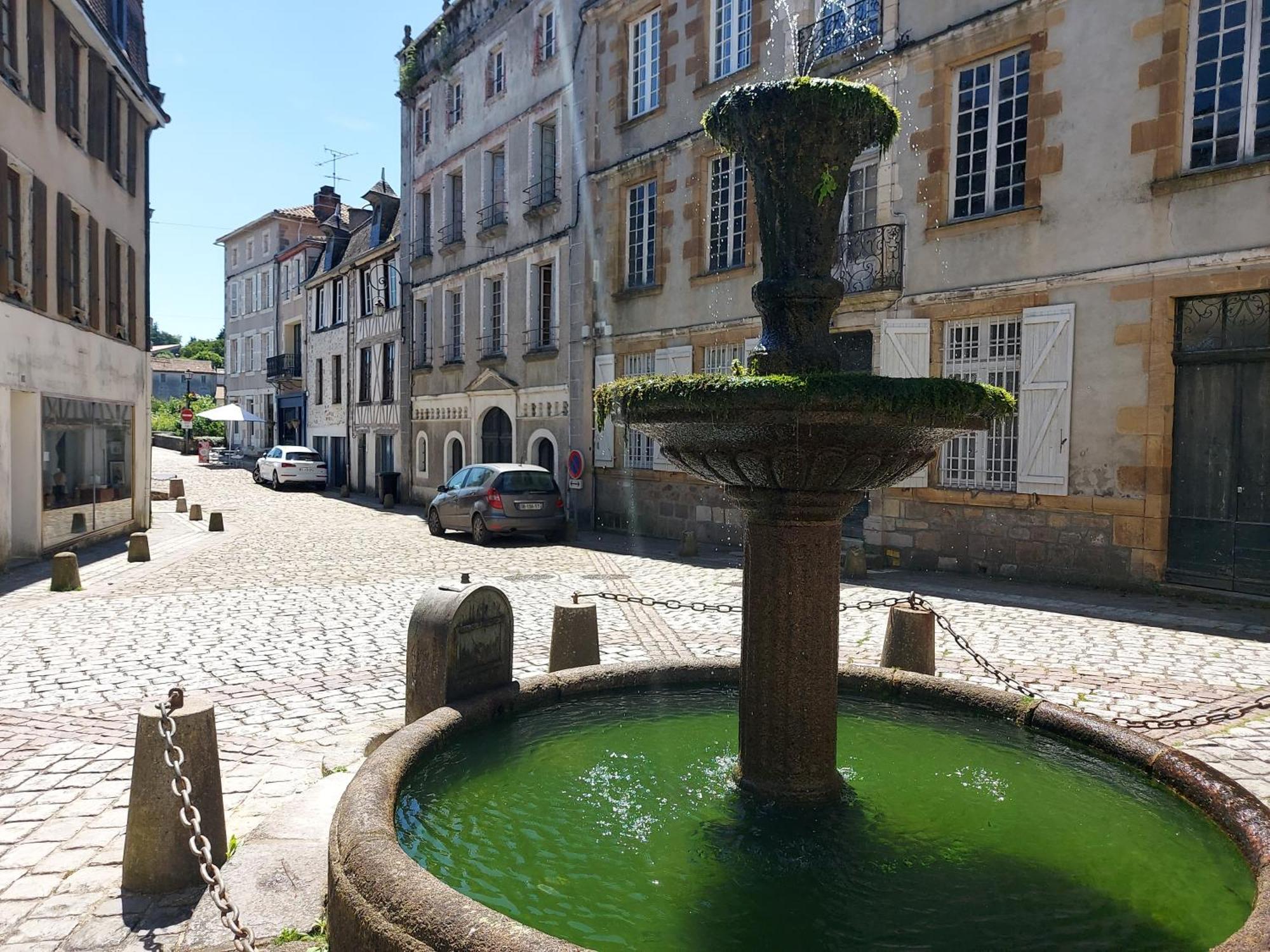 Charming Two Bedroom Gite With Beautiful Gardens Confolens Extérieur photo